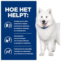Hill's Prescription Diet K/D + Mobility - Kidney + Joint Care Zak Kip - Hondenvoer 12 Hill's Prescription Diet K/D + Mobility - Kidney + Joint Care Zak Kip - Hondenvoer -Dierbenodigdheden-Honden 1000 M 10022322 4