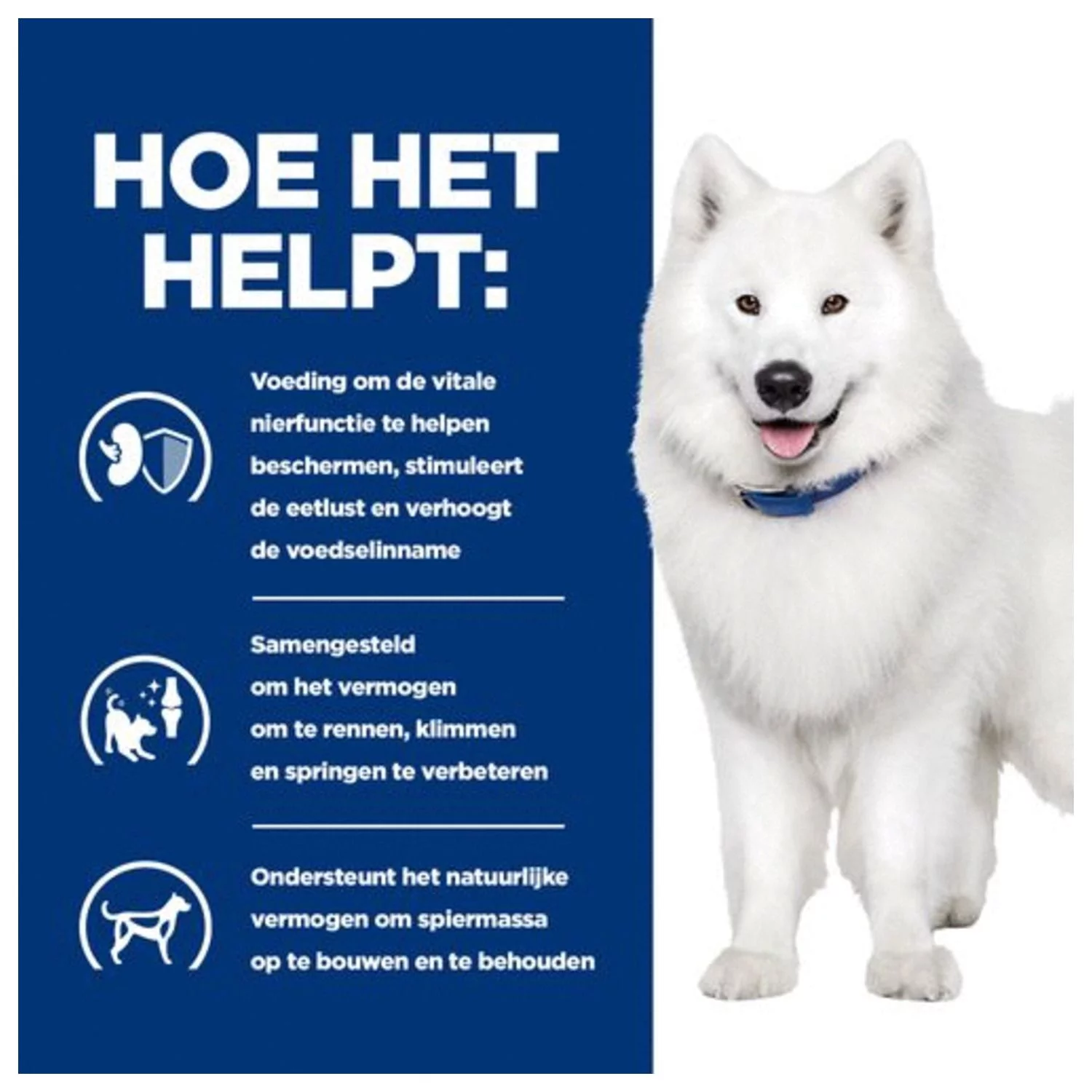 Hill's Prescription Diet K/D + Mobility - Kidney + Joint Care Zak Kip - Hondenvoer 4 Hill's Prescription Diet K/D + Mobility - Kidney + Joint Care Zak Kip - Hondenvoer - Afbeelding 4