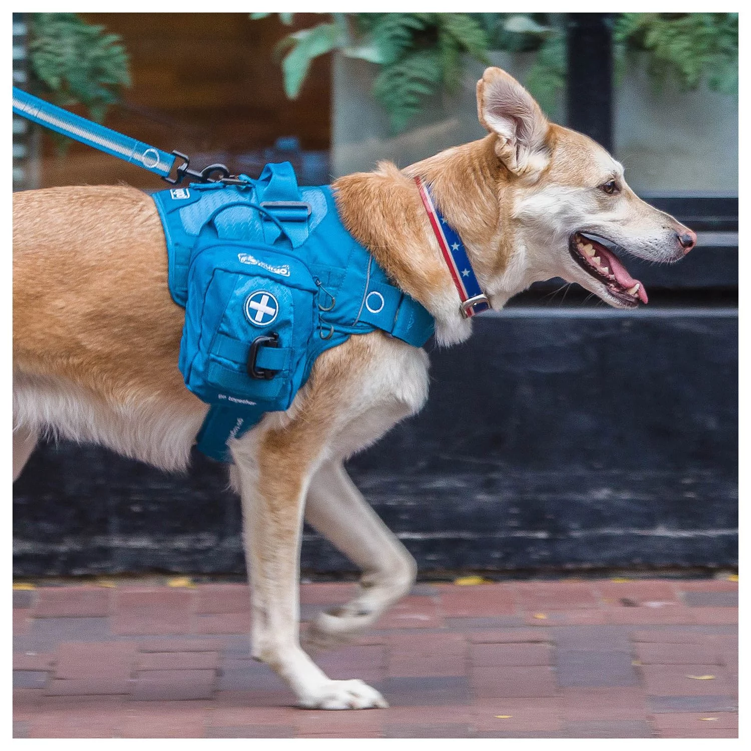 Kurgo Rsg First Aid Kit - Honden-EHBO-Set - Blauw 7 Kurgo Rsg First Aid Kit - Honden-EHBO-Set - Blauw - Afbeelding 7