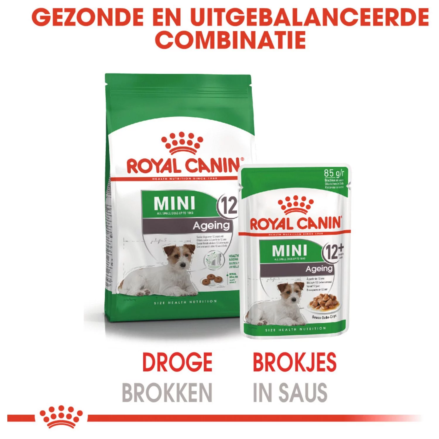 Royal Canin Mini Ageing 12+ Natvoer - Hondenvoer - 12x85 G 4 Royal Canin Mini Ageing 12+ Natvoer - Hondenvoer - 12x85 G - Afbeelding 4