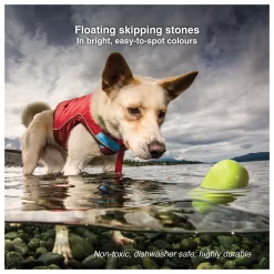 Kurgo Skipping Stones - Hondenspeelgoed - Assorti 2 Stuks -Dierbenodigdheden-Honden 1029 30021329 4