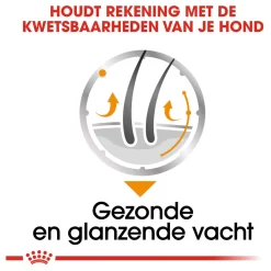 Royal Canin Coat Care Natvoer - Hondenvoer - 12x85 G 11 Royal Canin Coat Care Natvoer - Hondenvoer - 12x85 G -Dierbenodigdheden-Honden 1071 10044792 4