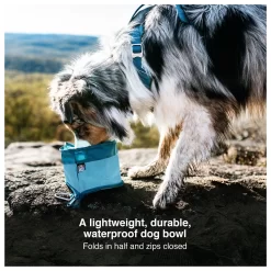 Kurgo Zippy Bowl - Opvouwbare Reisvoerbak - Hondenvoerbak 10 Kurgo Zippy Bowl - Opvouwbare Reisvoerbak - Hondenvoerbak -Dierbenodigdheden-Honden 1163 M 30021319 5