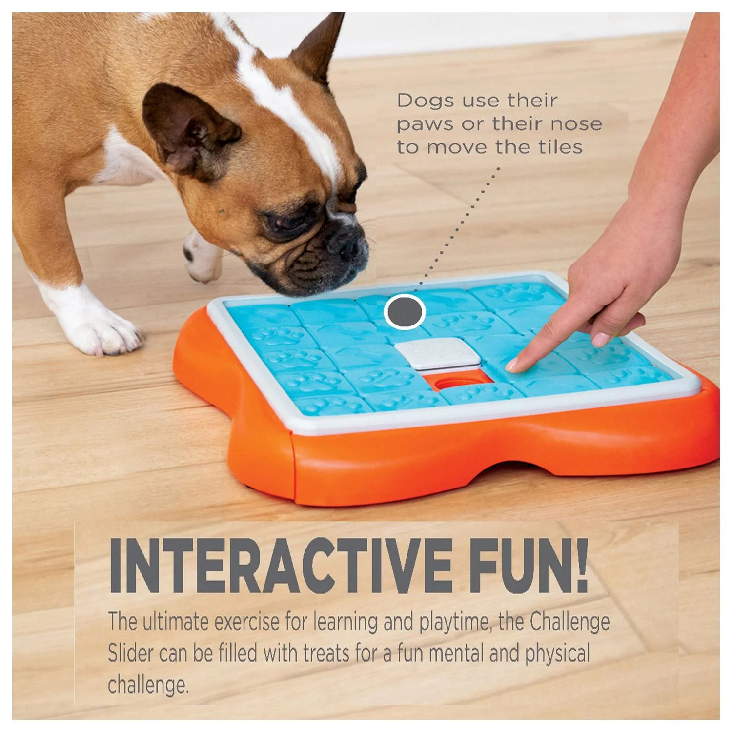 Nina Ottosson Challenge Slider Snack Puzzel - Hondenspeelgoed - 38x38x5 Cm Oranje Blauw Level 3 4 Nina Ottosson Challenge Slider Snack Puzzel - Hondenspeelgoed - 38x38x5 Cm Oranje Blauw Level 3 - Afbeelding 4