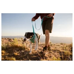Ruffwear Front Range Harness Azure - Hondenharnas -Dierbenodigdheden-Honden 1217 M 30005633 8