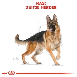 Royal Canin German Shepherd Adult - Hondenvoer -Dierbenodigdheden-Honden 1229 M 540612 5