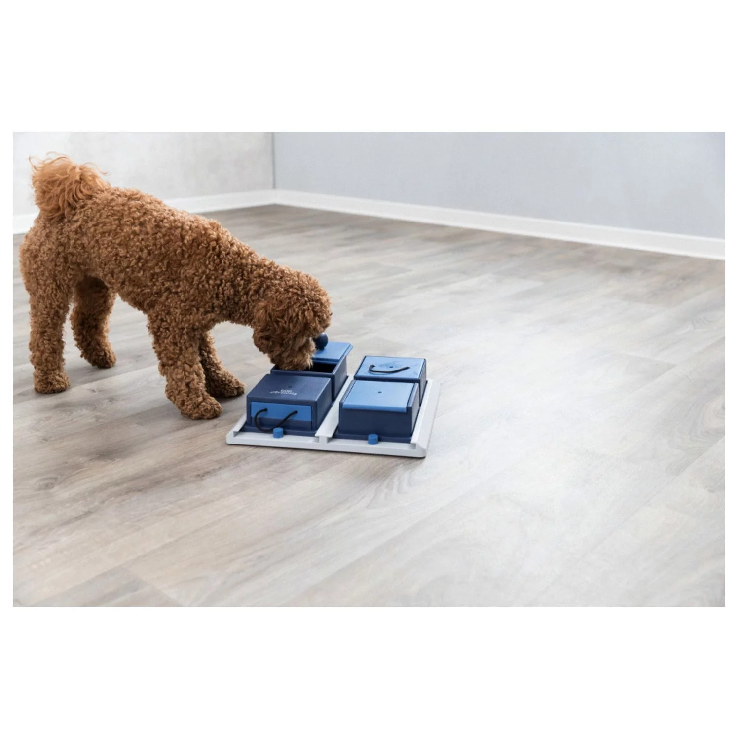 Trixie Dog Activity Poker Box 1 Strategiespel - Hondenspeelgoed - 31x31 Cm Donkerblauw Wit Level 2 6 Trixie Dog Activity Poker Box 1 Strategiespel - Hondenspeelgoed - 31x31 Cm Donkerblauw Wit Level 2 - Afbeelding 6