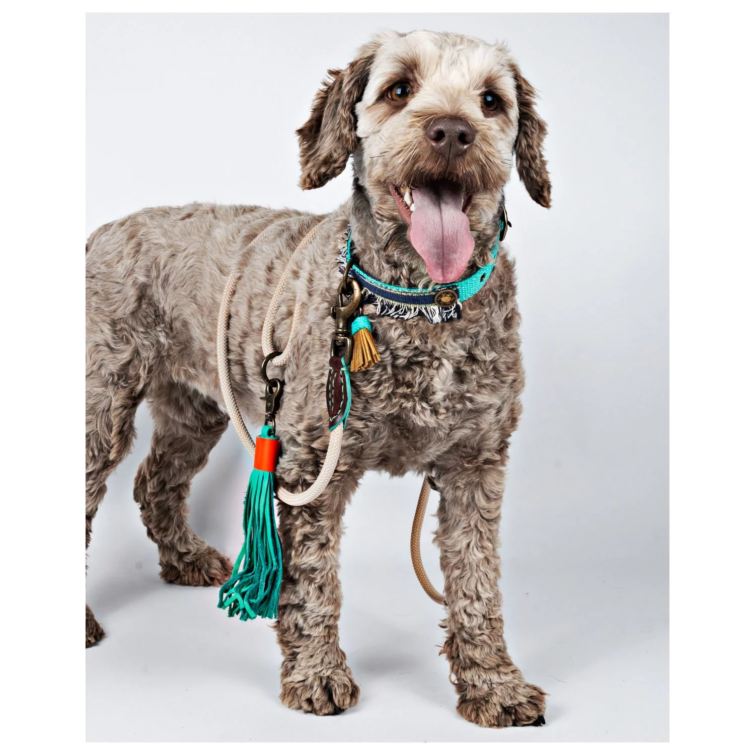 Dwam Looplijn Sand Touw - Hondenriem - 155x1.4 Cm Zand L 2 Dwam Looplijn Sand Touw - Hondenriem - 155x1.4 Cm Zand L - Afbeelding 2