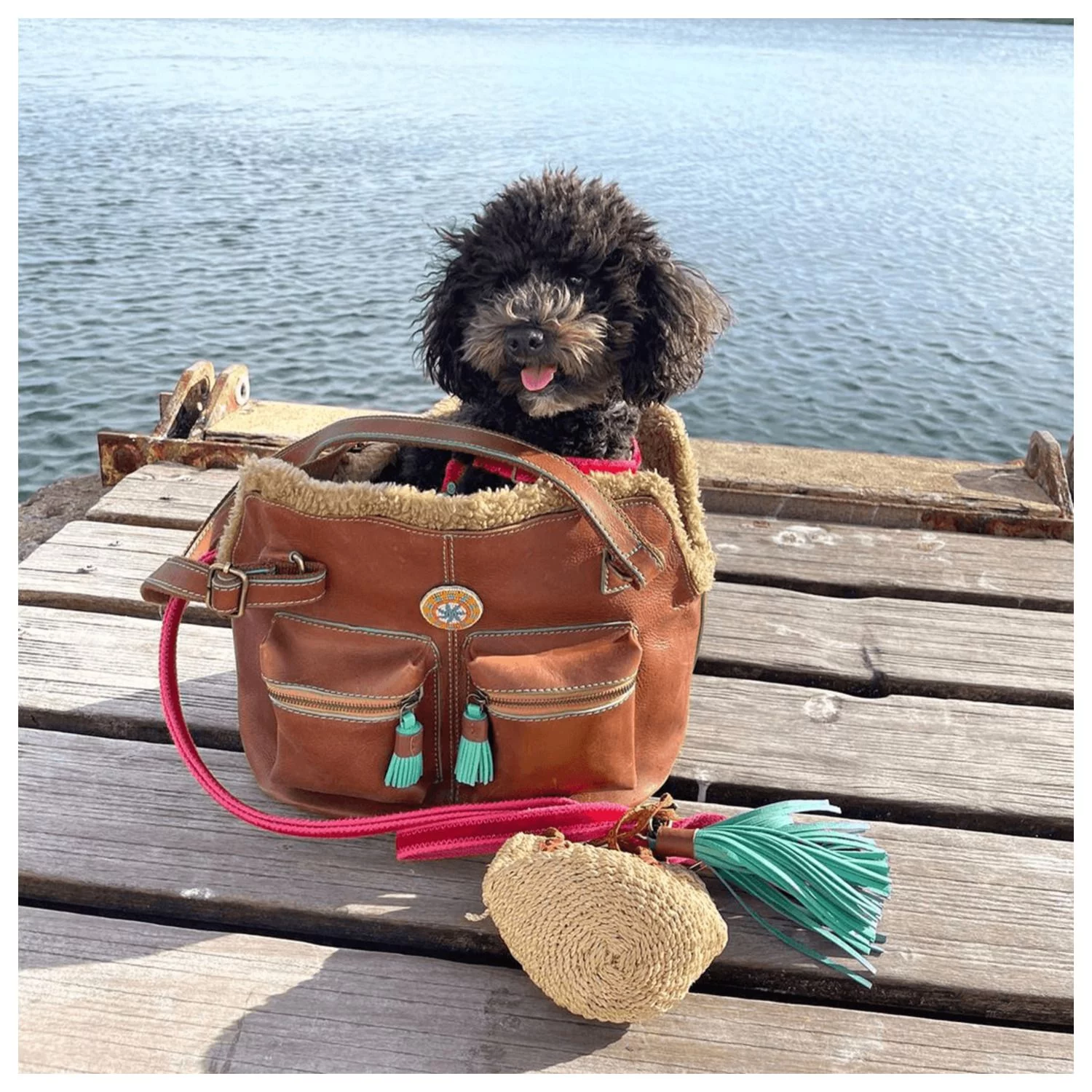 Dwam Hondentas Hipster Bag Blondie - Hondendraagtas - 32x20x27 Cm Bruin 5 Dwam Hondentas Hipster Bag Blondie - Hondendraagtas - 32x20x27 Cm Bruin - Afbeelding 5