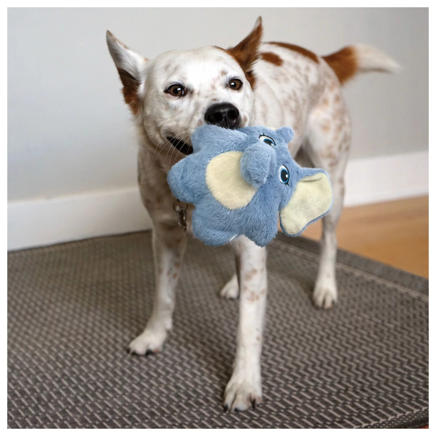 Kong Snuzzles Kiddos Elephant - Hondenspeelgoed - Sm 4 Kong Snuzzles Kiddos Elephant - Hondenspeelgoed - Sm - Afbeelding 4