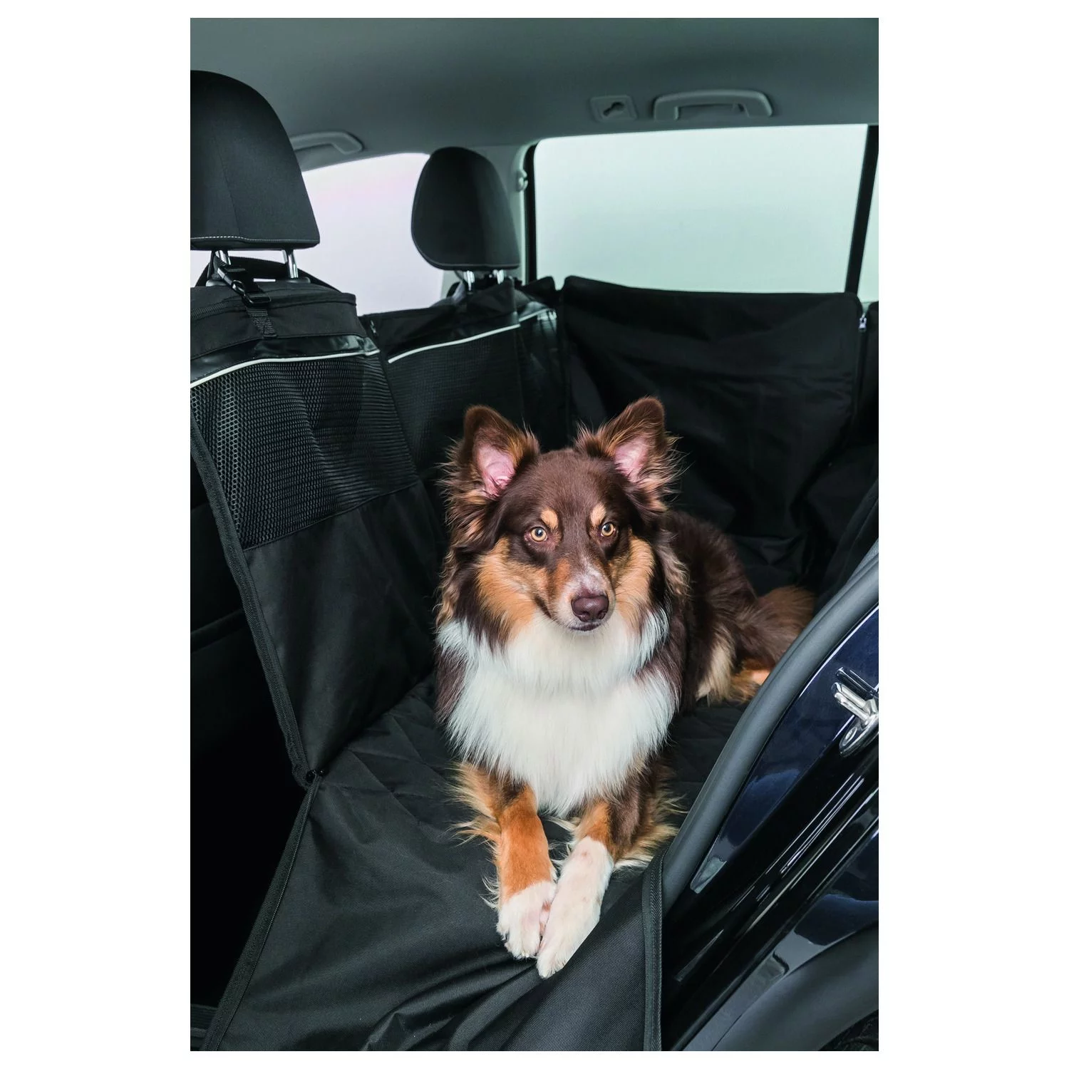 Trixie Autobeschermdeken - Hondenautoaccessoire - 1.55x1.30 M Zwart 9 Trixie Autobeschermdeken - Hondenautoaccessoire - 1.55x1.30 M Zwart - Afbeelding 9