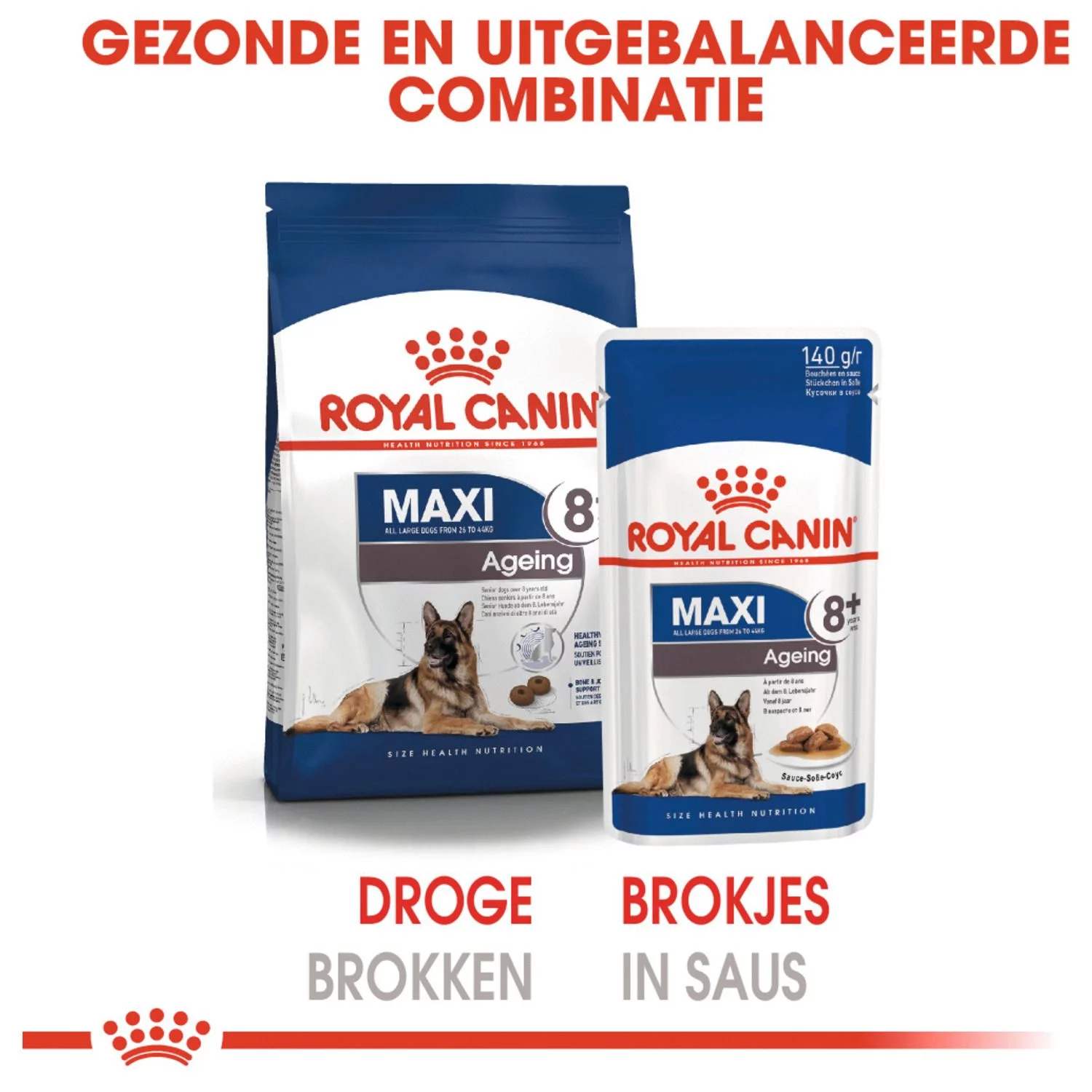 Royal Canin Maxi Ageing 8+ Natvoer - Hondenvoer - 10x140 G 6 Royal Canin Maxi Ageing 8+ Natvoer - Hondenvoer - 10x140 G - Afbeelding 6