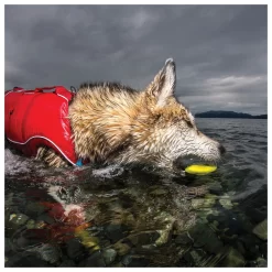 Kurgo Skipping Stones - Hondenspeelgoed - Assorti 2 Stuks -Dierbenodigdheden-Honden 1474 30021329 7