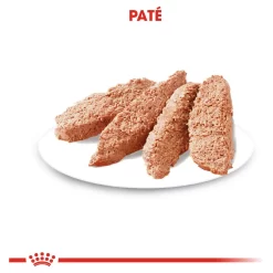 Royal Canin Digestive Care Natvoer - Hondenvoer - 12x85 G 10 Royal Canin Digestive Care Natvoer - Hondenvoer - 12x85 G -Dierbenodigdheden-Honden 1546 10044793 3