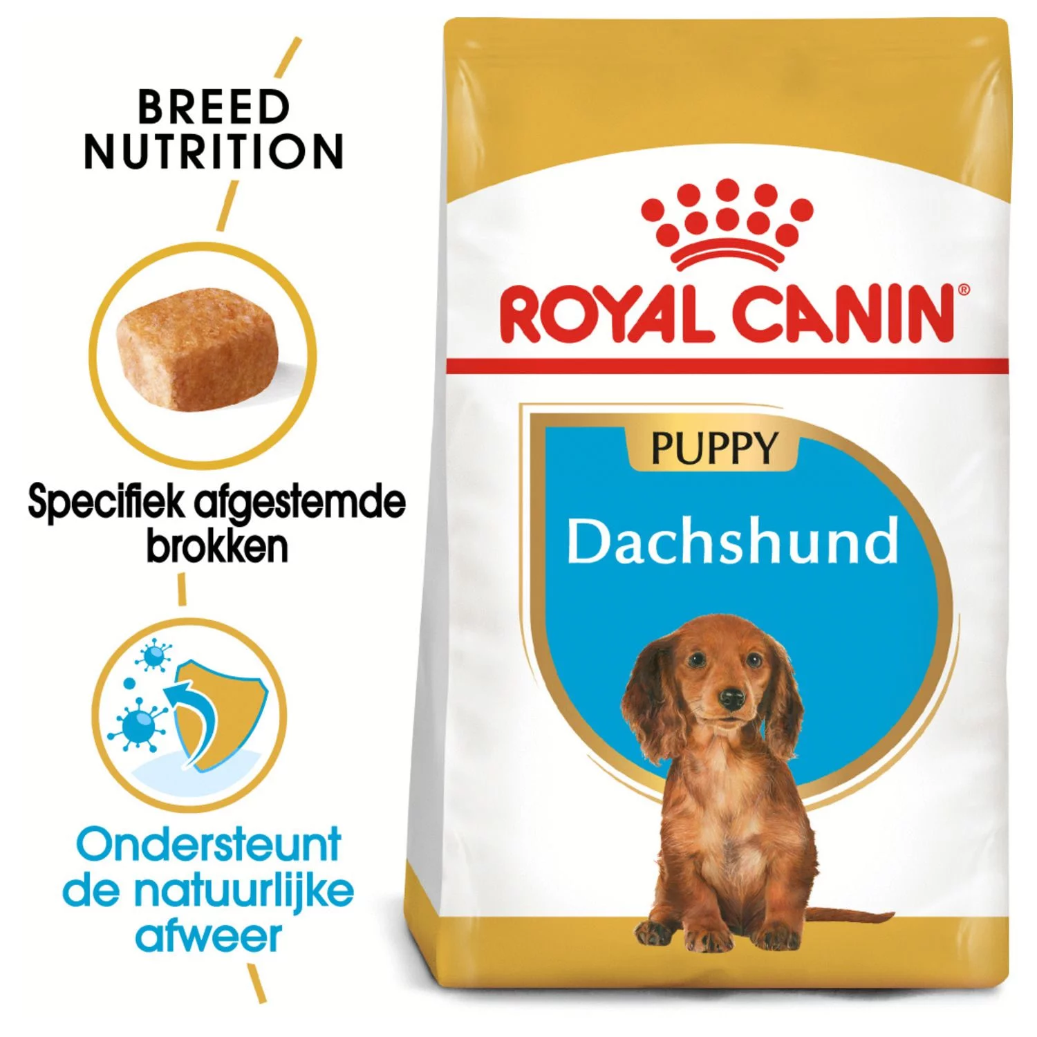 Royal Canin Dachshund - Puppy-Hondenvoer - 1.5 Kg 2 Royal Canin Dachshund - Puppy-Hondenvoer - 1.5 Kg - Afbeelding 2