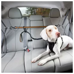 Kurgo Auto Zip Line - Hondenautoaccessoire - Zwart Oranje -Dierbenodigdheden-Honden 1694 30021315 7