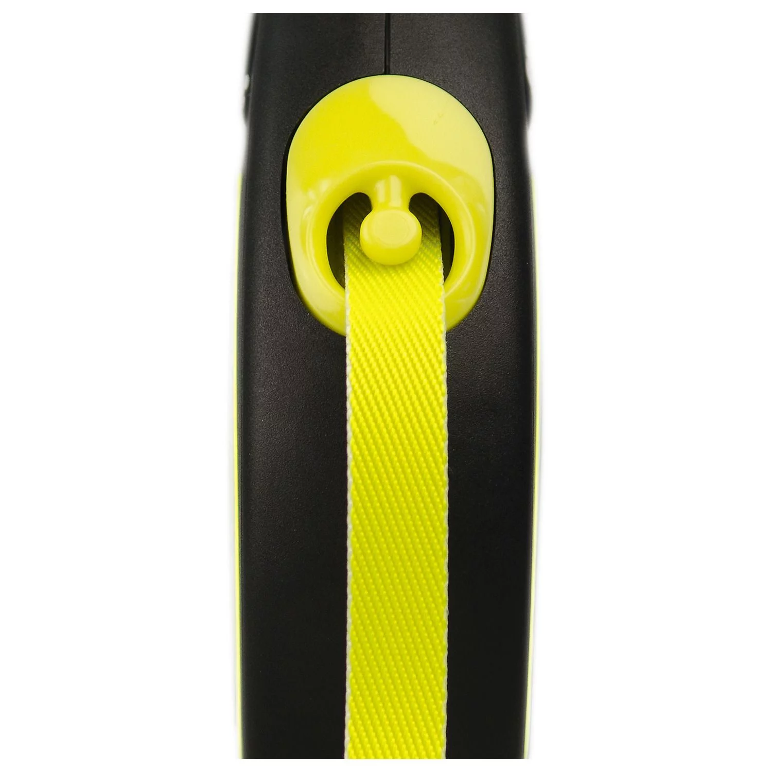 Flexi Rollijn New Classic Neon Tape 5 M - Hondenriem 3 Flexi Rollijn New Classic Neon Tape 5 M - Hondenriem - Afbeelding 3