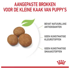 Royal Canin Maxi - Puppy-Hondenvoer -Dierbenodigdheden-Honden 1778 M 120609 5