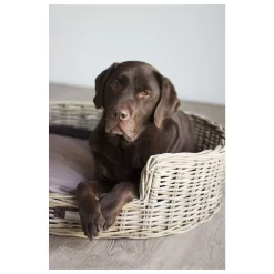 Happy-House Mand Riet Rond - Hondenmand - 95x82x25 Cm 3900 G Naturel Xxlarge 9 Happy-House Mand Riet Rond - Hondenmand - 95x82x25 Cm 3900 G Naturel Xxlarge -Dierbenodigdheden-Honden 1819 941147 5