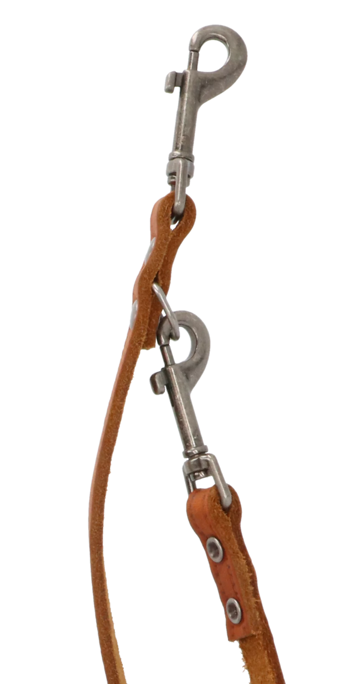 Adori Dresseerlijn Vetleder Met Print - Hondenriem - 200x1.4 Cm Cognac M 3 Adori Dresseerlijn Vetleder Met Print - Hondenriem - 200x1.4 Cm Cognac M - Afbeelding 3