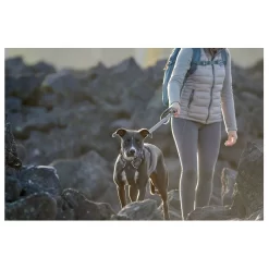 Ruffwear Front Range Harness Grijs - Hondenharnas -Dierbenodigdheden-Honden 1850 M 10053682 8