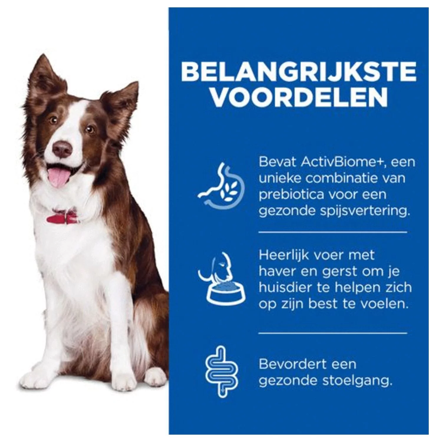Hill's Canine Adult Perfect Digestion Medium - Hondenvoer 3 Hill's Canine Adult Perfect Digestion Medium - Hondenvoer - Afbeelding 3