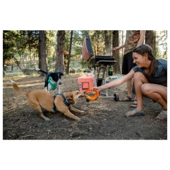 Ruffwear Front Range Collar Blue Moon Blauw - Hondenhalsband -Dierbenodigdheden-Honden 1869 M 30018994 7