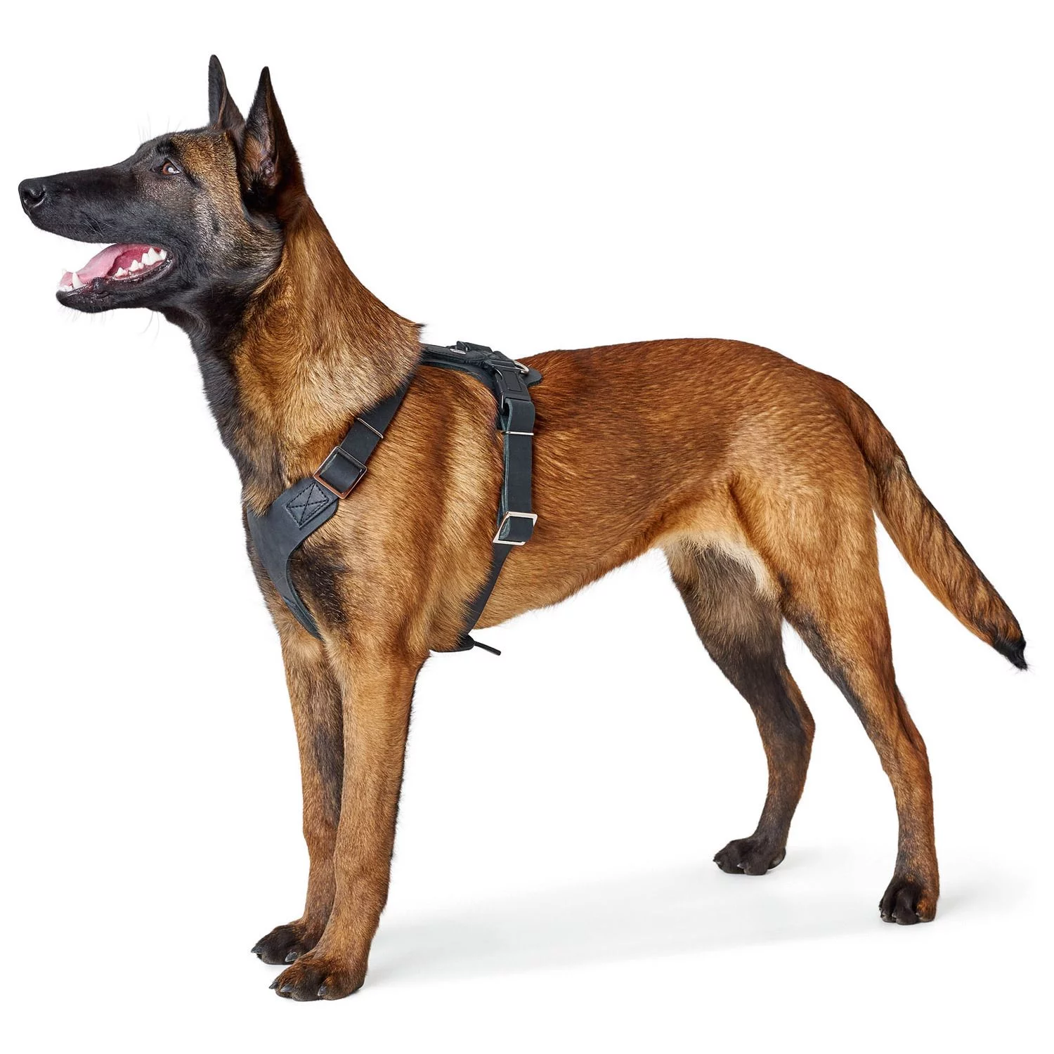 Hunter Hondentuig Aalborg Zwart - Hondenharnas 2 Hunter Hondentuig Aalborg Zwart - Hondenharnas - Afbeelding 2