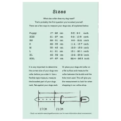 Dwam Halsband Joplin Bruin&Turquoise&Oranje - Hondenhalsband -Dierbenodigdheden-Honden 1941 M 10027972 4