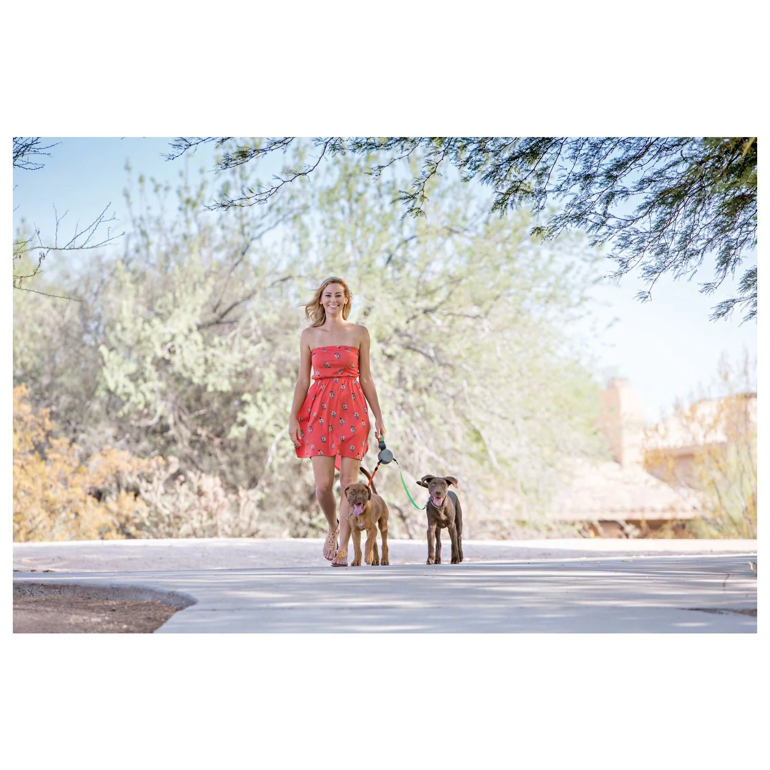 Wigzi Duo Rollijn - Hondenriem - 3 M Grijs Tot 22 Kg Per Hond 3 Wigzi Duo Rollijn - Hondenriem - 3 M Grijs Tot 22 Kg Per Hond - Afbeelding 3