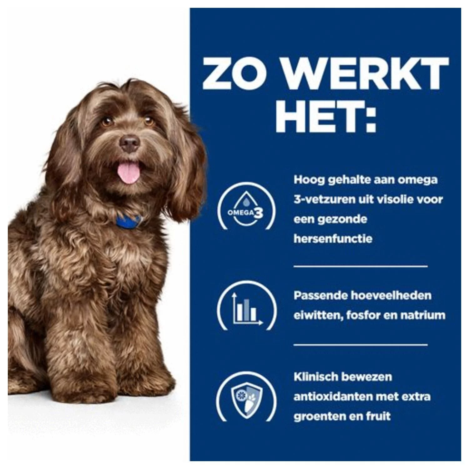 Hill's Prescription Diet B/D Ageing And Alertness Care Zak - Hondenvoer - Kip 12 Kg 3 Hill's Prescription Diet B/D Ageing And Alertness Care Zak - Hondenvoer - Kip 12 Kg - Afbeelding 3