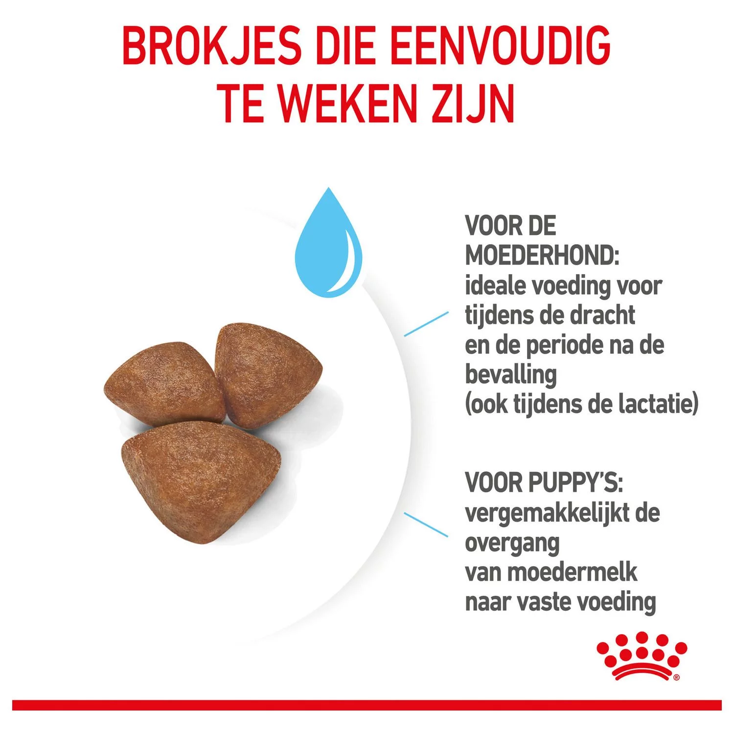 Royal Canin Mini Starter Mother & Babydog - Puppy-Hondenvoer 5 Royal Canin Mini Starter Mother & Babydog - Puppy-Hondenvoer - Afbeelding 5