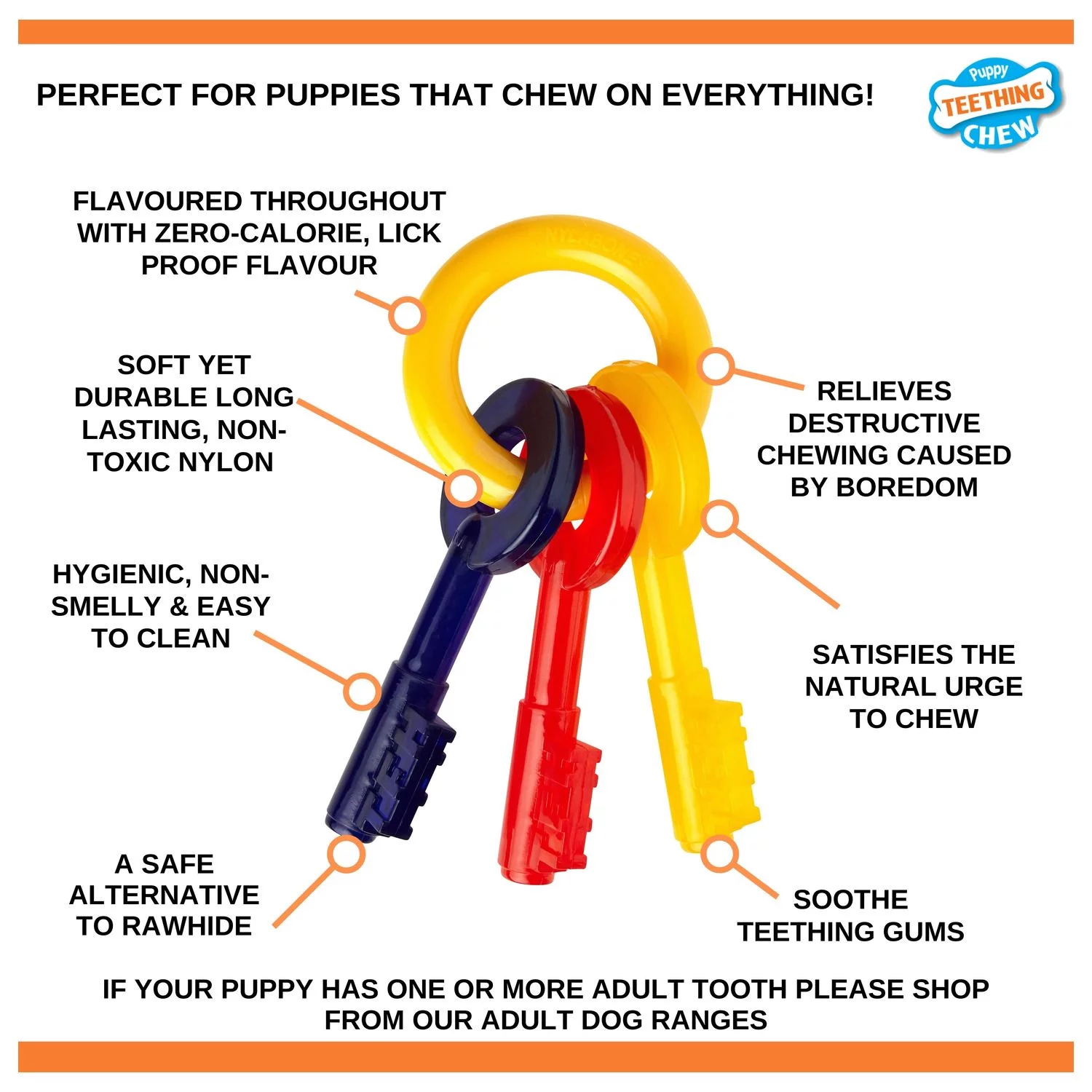 Nylabone Puppy Teething Key Flexible Geel&Blauw&Rood - Hondenspeelgoed 4 Nylabone Puppy Teething Key Flexible Geel&Blauw&Rood - Hondenspeelgoed - Afbeelding 4