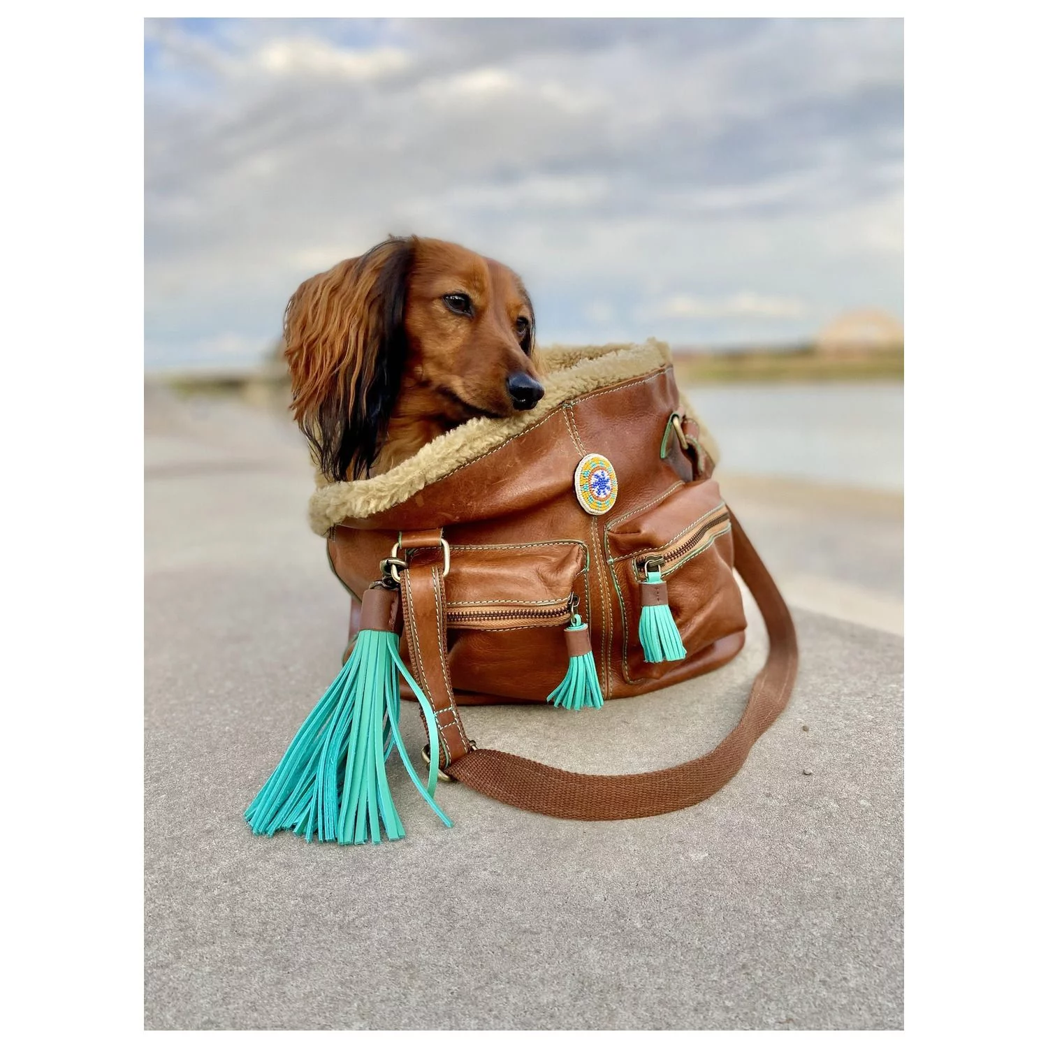 Dwam Hondentas Hipster Bag Blondie - Hondendraagtas - 32x20x27 Cm Bruin 4 Dwam Hondentas Hipster Bag Blondie - Hondendraagtas - 32x20x27 Cm Bruin - Afbeelding 4