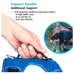 Rogz Explore Tuig Gevoerd Rood - Hondenharnas -Dierbenodigdheden-Honden 2141 M 10044064 3