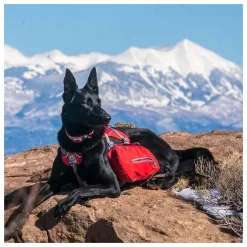 Kurgo Big Baxter Hondenrugzak - Hondendraagzak - Rood 22.5 Tot 50 Kg 14 Kurgo Big Baxter Hondenrugzak - Hondendraagzak - Rood 22.5 Tot 50 Kg -Dierbenodigdheden-Honden 2189 30021335 6