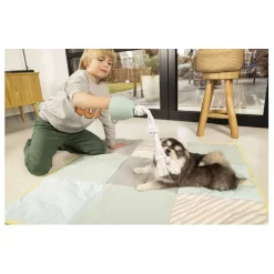 Beeztees Puppy Touwtrekker Pullina - Hondenspeelgoed - 50x10x10 Cm Groen 5 Beeztees Puppy Touwtrekker Pullina - Hondenspeelgoed - 50x10x10 Cm Groen -Dierbenodigdheden-Honden 2221 10027860 3