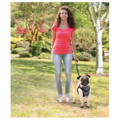 All For Paws Honden Autogordel - Hondenautoaccessoire - Nek30-50/Borst 41-56 Cm Grijs 11 All For Paws Honden Autogordel - Hondenautoaccessoire - Nek30-50/Borst 41-56 Cm Grijs -Dierbenodigdheden-Honden 2228 10047381 6