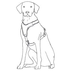 Hunter Harnas Maldon Rood&Grijs - Hondentuig -Dierbenodigdheden-Honden 2259 M 30013784 7