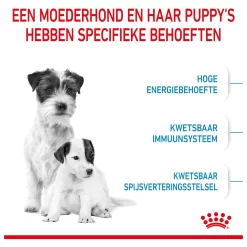 Royal Canin Mini Starter Mother & Babydog - Puppy-Hondenvoer 12 Royal Canin Mini Starter Mother & Babydog - Puppy-Hondenvoer -Dierbenodigdheden-Honden 2262 M 30019797 3