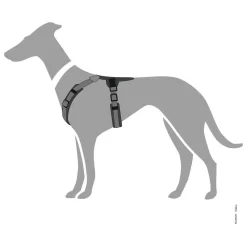 Hunter Harnas Maldon Zwart&Grijs - Hondentuig -Dierbenodigdheden-Honden 2265 M 30013768 5