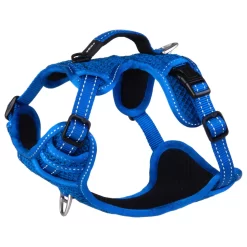 Rogz Explore Tuig Gevoerd Blauw - Hondenharnas