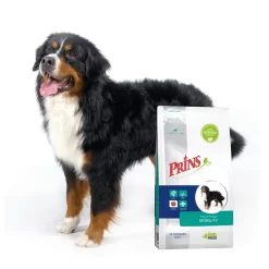 Prins Procare Croque Dieet Mobility Gevogelte - Hondenvoer -Dierbenodigdheden-Honden 2331 M 10050066 3