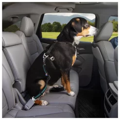 Kurgo Seatbelt Swivel Tether - Hondenautoaccessoire - Blauw Zwart 10 Kurgo Seatbelt Swivel Tether - Hondenautoaccessoire - Blauw Zwart -Dierbenodigdheden-Honden 2344 30021332 5
