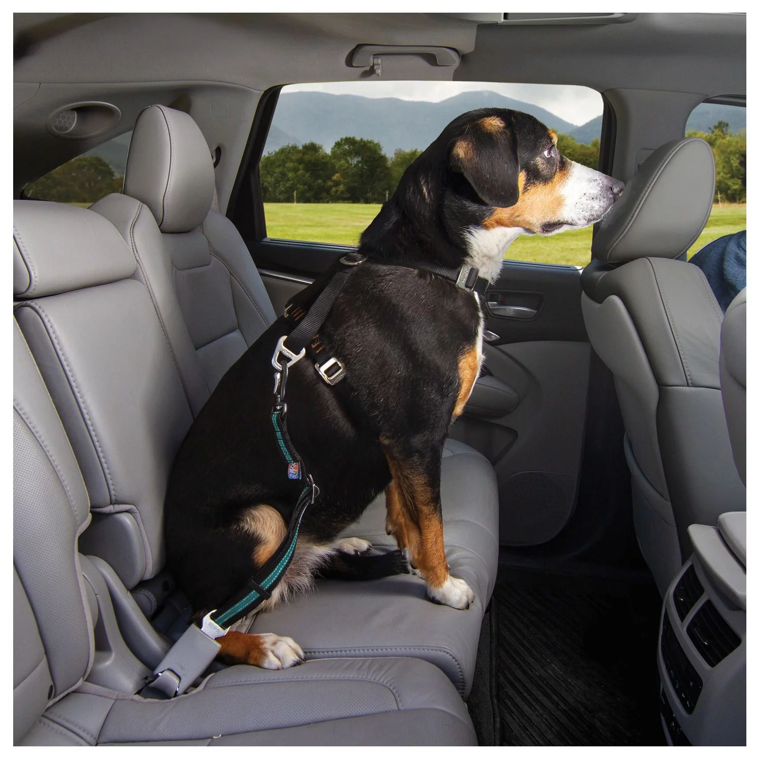 Kurgo Seatbelt Swivel Tether - Hondenautoaccessoire - Blauw Zwart 5 Kurgo Seatbelt Swivel Tether - Hondenautoaccessoire - Blauw Zwart - Afbeelding 5