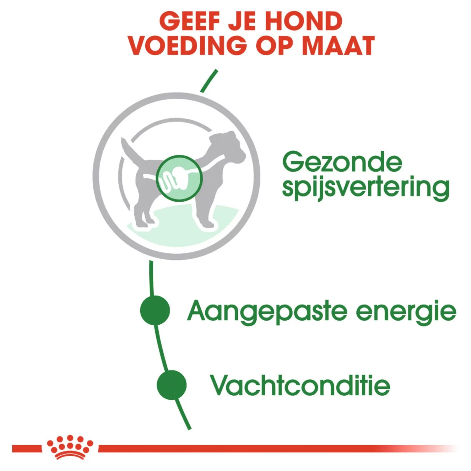 Royal Canin Mini Adult Natvoer - Hondenvoer - 12x85 G 3 Royal Canin Mini Adult Natvoer - Hondenvoer - 12x85 G - Afbeelding 3