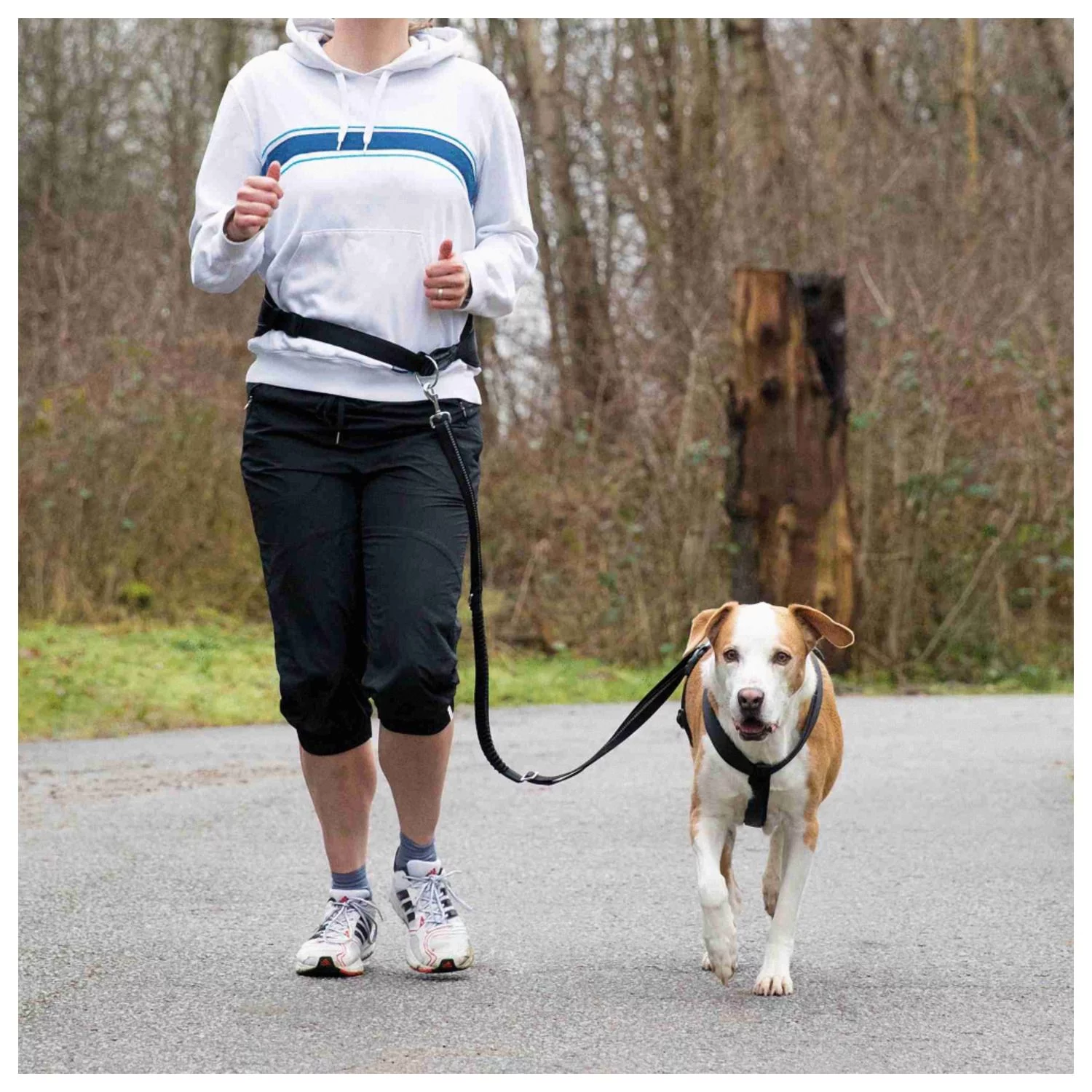 Trixie Hardloopgordel Zwart - Hondenhardlooplijn 2 Trixie Hardloopgordel Zwart - Hondenhardlooplijn - Afbeelding 2