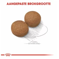 Royal Canin Maxi Adult - Hondenvoer 11 Royal Canin Maxi Adult - Hondenvoer -Dierbenodigdheden-Honden 2401 M 120610 3