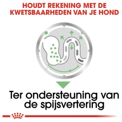 Royal Canin Digestive Care Natvoer - Hondenvoer - 12x85 G 11 Royal Canin Digestive Care Natvoer - Hondenvoer - 12x85 G -Dierbenodigdheden-Honden 2484 10044793 4