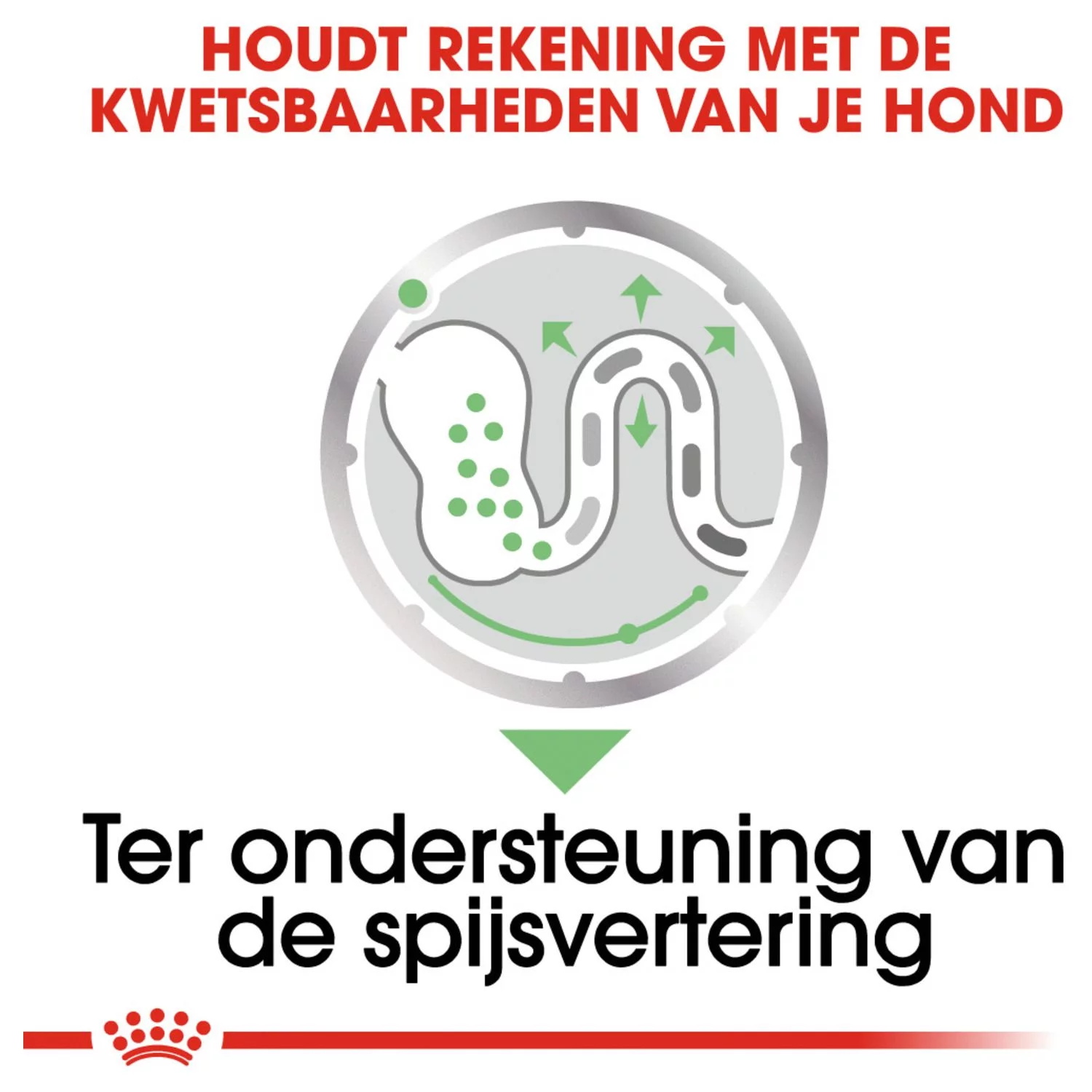 Royal Canin Digestive Care Natvoer - Hondenvoer - 12x85 G 4 Royal Canin Digestive Care Natvoer - Hondenvoer - 12x85 G - Afbeelding 4